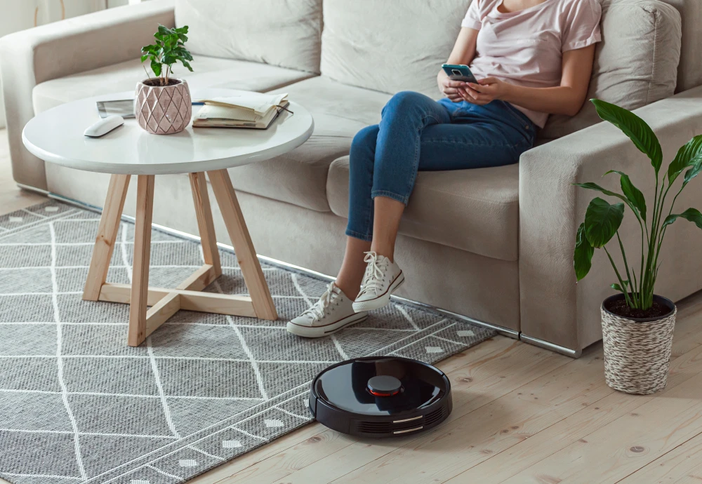 carpet robot vacuum cleaner